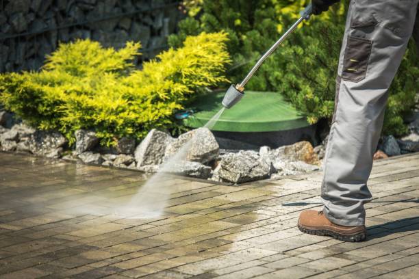 Best Driveway Pressure Washing  in Citrus Heights, CA