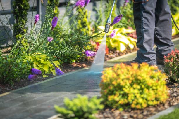 Best Gas Station Cleaning  in Citrus Heights, CA